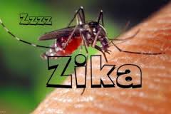 Zika1 Zika1