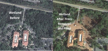 SASI-WetlandE SASI-WetlandE