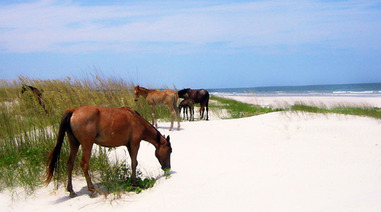 CumberlandIsland CumberlandIsland