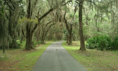 MusgrovePlantation MusgrovePlantation