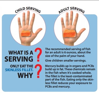 SeafoodAdvA SeafoodAdvA