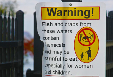 Seafood_warning_sign Seafood_warning_sign